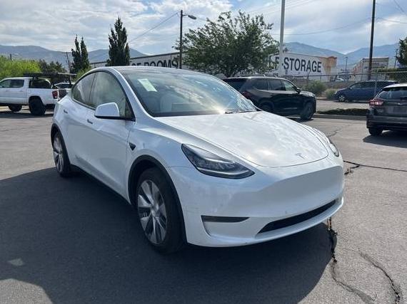 TESLA MODEL Y 2020 5YJYGDEE3LF053453 image